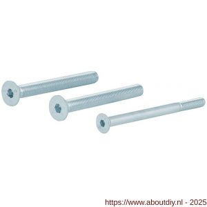 GPF Bouwbeslag AG0338 binnenzeskantbout PK DIN 7991 10.9 galvanisch verzinkt voor set veiligheids schilden tot deurdikte 94 mm 2x M8x100/1x M6x100 mm gegalvaniseerd - A21016476 - afbeelding 1