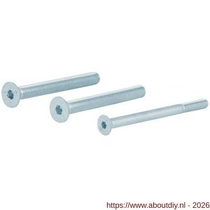 GPF Bouwbeslag GPFAG0339 binnenzeskantbout set PK DIN 7991 10.9 galvanisch verzinkt voor set veiligheids schilden tot deurdikte 114 mm 2x M8x120-1x M6x120 mm - A21019938 - afbeelding 1