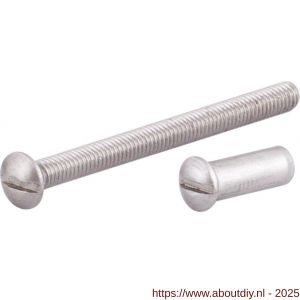 GPF Bouwbeslag AG0352 RVS patentbout met huls M4x50 mm voor deurdikte 47-53 mm RVS geborsteld - A21006227 - afbeelding 1