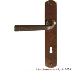 Utensil Legno FM043L M BB110 deurkruk gatdeel op schild 245x40 mm BB110 met veer gepatenteerd systeem linkswijzend roest - A21007059 - afbeelding 1
