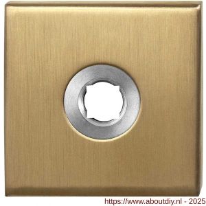 GPF Bouwbeslag PVD 1100.02P4 vierkant click rozet 50x50x8 mm PVD mat messing - A21003652 - afbeelding 1