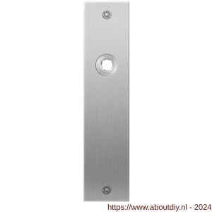 GPF Bouwbeslag RVS 1100.16L/R blind deurkruk gatdeel links-rechtswijzend plaatschild rechthoekig zonder veer 181x41x2 mm blind RVS geborsteld - A21003992 - afbeelding 1