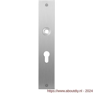 GPF Bouwbeslag RVS 1100.26L/R PC55 deurkruk gatdeel links-rechtswijzend plaatschild rechthoekig zonder veer 220x40x2 mm PC55 RVS geborsteld - A21004021 - afbeelding 1
