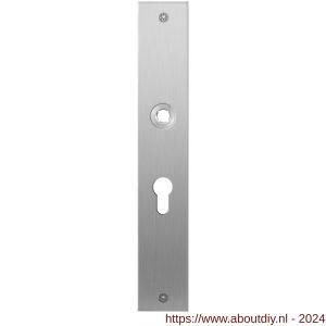 GPF Bouwbeslag RVS 1100.27L/R PC55 deurkruk gatdeel links-rechtswijzend plaatschild rechthoekig zonder veer 240x40x2 mm PC55 RVS geborsteld - A21004028 - afbeelding 1