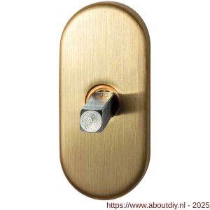 GPF Bouwbeslag PVD GPF1100.30P4 draaikiepmechanisme ovaal 65x30x12 mm met stift binnenzijde 32 mm PVD mat messing - A21011423 - afbeelding 1
