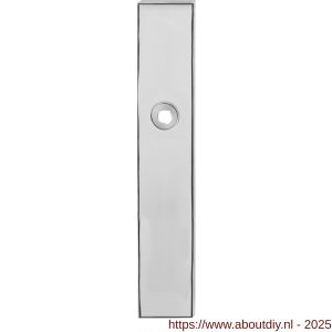 GPF Bouwbeslag RVS GPF1100.65 blind langschild rechthoekig enkelverend 218x40x8,5 mm blind RVS gepolijst - A21004234 - afbeelding 1