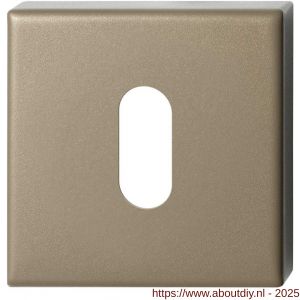 GPF Bouwbeslag Anastasius 1102.A4.0901 sleutelrozet 50x50x8 mm Champagne blend - A21011383 - afbeelding 1