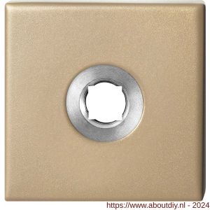 GPF Bouwbeslag Anastasius 1102.A4 vierkant click rozet 50x50x8 mm Champagne blend - A21011363 - afbeelding 1