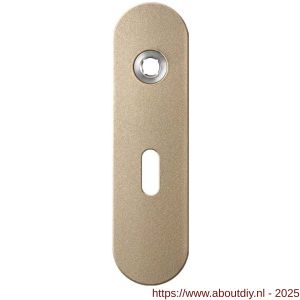 GPF Bouwbeslag Anastasius 1110.A4L BB56 deurkruk gatdeel linkswijzend kortschild afgerond 169x46x8,5 mm BB56 Champagne blend - A21012481 - afbeelding 1