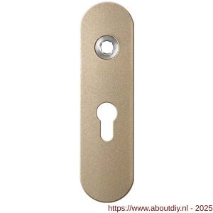 GPF Bouwbeslag Anastasius 1110.A4L PC55 deurkruk gatdeel linkswijzend kortschild afgerond 169x46x8,5 mm PC55 Champagne blend - A21012482 - afbeelding 1