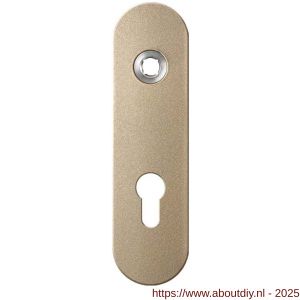 GPF Bouwbeslag Anastasius 1110.A4L PC72 deurkruk gatdeel linkswijzend kortschild afgerond 169x46x8,5 mm PC72 Champagne blend - A21012483 - afbeelding 1