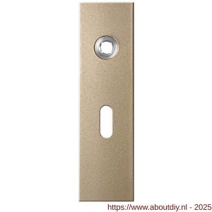 GPF Bouwbeslag Anastasius 1115.A4L BB56 deurkruk gatdeel linkswijzend kortschild rechthoekig 169x46x8,5 mm BB56 Champagne blend - A21012545 - afbeelding 1