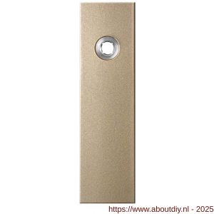 GPF Bouwbeslag Anastasius 1115.A4R blind deurkruk gatdeel rechtswijzend kortschild rechthoekig 169x46x8,5 mm blind Champagne blend - A21012548 - afbeelding 1