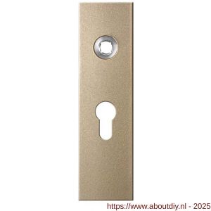 GPF Bouwbeslag Anastasius 1115.A4R PC55 deurkruk gatdeel rechtswijzend kortschild rechthoekig 169x46x8,5 mm PC55 Champagne blend - A21012550 - afbeelding 1