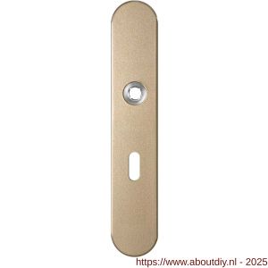 GPF Bouwbeslag Anastasius 1120.A4L BB56 deurkruk gatdeel linkswijzend langschild afgerond 218x40x8,5 mm BB56 Champagne blend - A21011197 - afbeelding 1