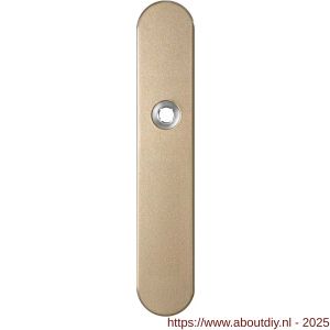GPF Bouwbeslag Anastasius 1120.A4R blind deurkruk gatdeel rechtswijzend langschild afgerond 218x40x8,5 mm blind Champagne blend - A21011200 - afbeelding 1