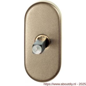 GPF Bouwbeslag Anastasius GPF1130.A4.0032 draaikiepmechanisme ovaal 65x30x12 mm met stift binnenzijde 32 mm Champagne blend - A21011430 - afbeelding 1