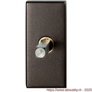 GPF Bouwbeslag Anastasius GPF1131.A1.0032 draaikiepmechanisme rechthoekig 65x30x12 mm met stift binnenzijde 32 mm Dark blend - A21011432 - afbeelding 1