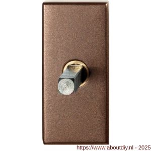 GPF Bouwbeslag Anastasius GPF1131.A2.0032 draaikiepmechanisme rechthoekig 65x30x12 mm met stift binnenzijde 32 mm Bronze blend - A21011434 - afbeelding 1