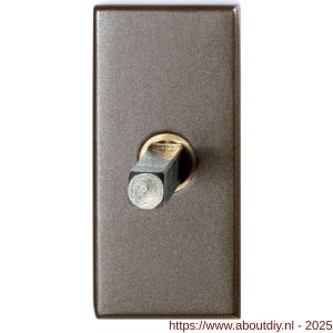 GPF Bouwbeslag Anastasius GPF1131.A3.0032 draaikiepmechanisme rechthoekig 65x30x12 mm met stift binnenzijde 32 mm Mocca blend - A21011436 - afbeelding 1