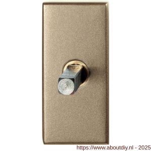 GPF Bouwbeslag Anastasius GPF1131.A4.0040 draaikiepmechanisme rechthoekig 65x30x12 mm met stift binnenzijde 40 mm Champagne blend - A21011439 - afbeelding 1