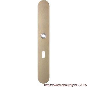 GPF Bouwbeslag Anastasius 1170.A4L BB56 deurkruk gatdeel linkswijzend langschild afgerond 282x40x8,5 mm BB56 Champagne blend - A21012609 - afbeelding 1