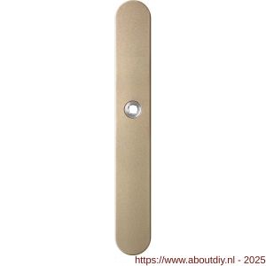 GPF Bouwbeslag Anastasius 1170.A4R blind deurkruk gatdeel rechtswijzend langschild afgerond 282x40x8,5 mm blind Champagne blend - A21012612 - afbeelding 1