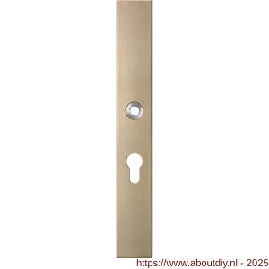 GPF Bouwbeslag Anastasius 1175.A4R PC55 deurkruk gatdeel rechtswijzend langschild rechthoekig 282x40x8,5 mm PC55 Champagne blend - A21012678 - afbeelding 1