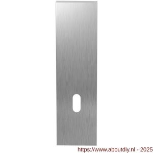 GPF Bouwbeslag RVS 1200.15 BB72 kortschild rechthoekig 169x46x8,5 mm zonder krukgat BB72 RVS geborsteld - A21005743 - afbeelding 1