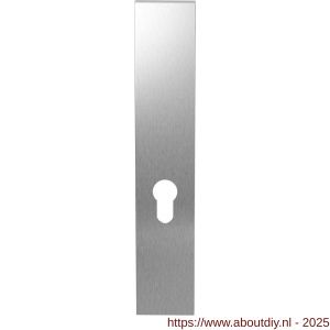 GPF Bouwbeslag RVS GPF1200.25L/R PC55 langschild gatdeel rechthoekig 218x40x8.5 mm zonder krukgat PC55 links-rechtsdraaiend RVS geborsteld - A21004121 - afbeelding 1