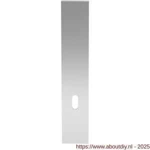 GPF Bouwbeslag RVS GPF1200.65L/R BB72 langschild gatdeel rechthoekig 218x40x8 mm zonder krukgat BB72 links-rechtsdraaiend RVS gepolijst - A21003875 - afbeelding 1