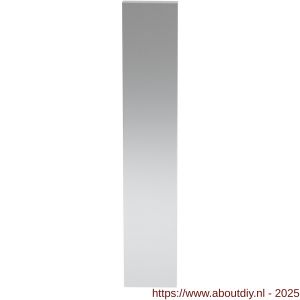 GPF Bouwbeslag RVS GPF1200.65L/R blind langschild gatdeel rechthoekig 218x40x8 mm geheel blind links-rechtsdraaiend RVS gepolijst - A21004118 - afbeelding 1