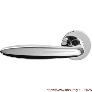 GPF Bouwbeslag RVS GPF1315.49-00L/R Pepe deurkruk gatdeel op rond rozet RVS 50x8 mm links-rechtswijzend RVS gepolijst - A21013843 - afbeelding 1