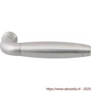 GPF Bouwbeslag RVS GPF4245 Ika deurkruk gebogen met trapezium eindknop RVS geborsteld - A21002727 - afbeelding 1