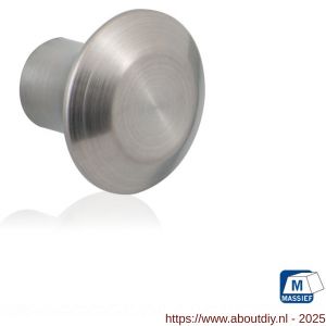 GPF Bouwbeslag RVS GPF5520.35 meubelknop rond 35 mm hoogte 28 mm RVS geborsteld - A21005376 - afbeelding 1