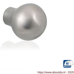 GPF Bouwbeslag RVS GPF5530.30 meubelknop rond 30 mm hoogte 37 mm RVS geborsteld - A21005382 - afbeelding 1