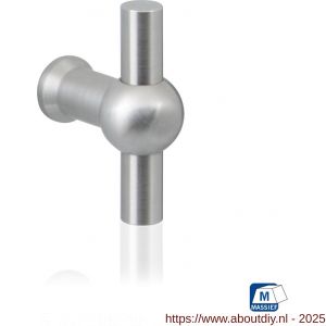 GPF Bouwbeslag RVS GPF5565.35 meubelknop Hipi 9 mm hoogte 35 mm RVS geborsteld - A21005400 - afbeelding 1