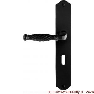 GPF Bouwbeslag Smeedijzer GPF6225.60L/R BB56 Tuli ideurkruk gatdeel op schild 238x41x4 mm links-rechtswijzend smeedijzer zwart - A21010398 - afbeelding 1