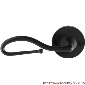 GPF Bouwbeslag Smeedijzer GPF6260.60-00L Lumi deurkruk gatdeel op rond rozet 53x5 mm linkswijzend smeedijzer zwart - A21009598 - afbeelding 1