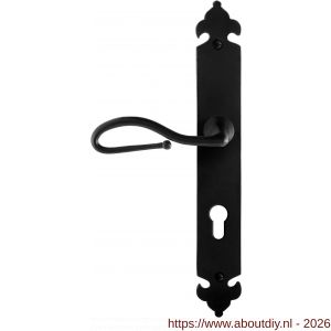 GPF Bouwbeslag Smeedijzer GPF6260.60L PC72 Lumi deurkruk gatdeel op langschild 291x41x4 mm linkswijzend smeedijzer zwart - A21009568 - afbeelding 1