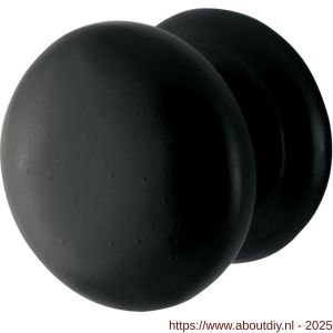GPF Bouwbeslag Smeedijzer GPF6500.25 meubelknop 25 mm hoogte 25 mm smeedijzer zwart - A21005403 - afbeelding 1