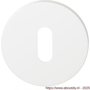GPF Bouwbeslag Entree 6901VW sleutelrozet 53x6 mm wit egaal - A21011385 - afbeelding 1