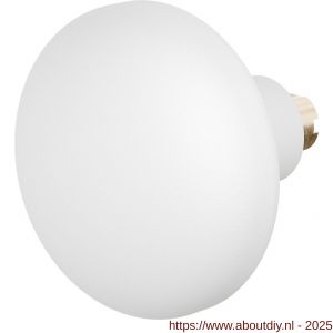 GPF Bouwbeslag ZwartWit 8849.62 S5 Paddenstoel knop 65 mm voor veiligheids schilden vast met wisselstift wit - A21010497 - afbeelding 1