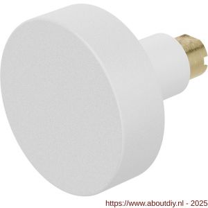 GPF Bouwbeslag ZwartWit 8853.62 S5 vlakke knop 52x16 mm voor veiligheids schilden vast met wisselstift wit - A21008598 - afbeelding 1