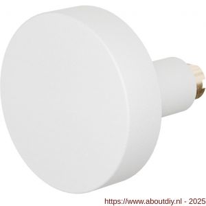 GPF Bouwbeslag ZwartWit 8855.62 S4 excentrische knop 60x16 mm voor veiligheids schilden vast met bout M10 wit - A21008603 - afbeelding 1