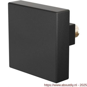 GPF Bouwbeslag ZwartWit 8858.61 S5 vierkante knop 60x60x16 mm voor veiligheids schilden vast met wisselstift zwart - A21006889 - afbeelding 1