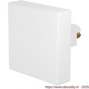 GPF Bouwbeslag ZwartWit 8858.62 S4 vierkante knop 60x60x16 mm voor veiligheids schilden vast met bout M10 wit - A21011527 - afbeelding 1