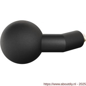 GPF Bouwbeslag ZwartWit 8859.61 S4 verkropte kogelknop 55x16 mm voor veiligheidsschilden vast met bout M10 zwart - A21008221 - afbeelding 1