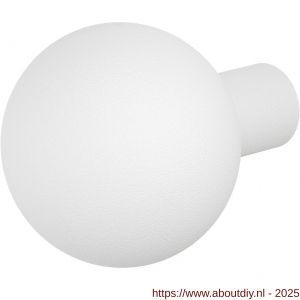 GPF Bouwbeslag ZwartWit 8954.62 S1 kogelknop 50 mm draaibaar met krukstift wit - A21008076 - afbeelding 1