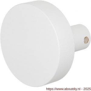 GPF Bouwbeslag ZwartWit 8965.62 S1 excentrische knop 60x16 mm draaibaar met krukstift wit - A21008668 - afbeelding 1